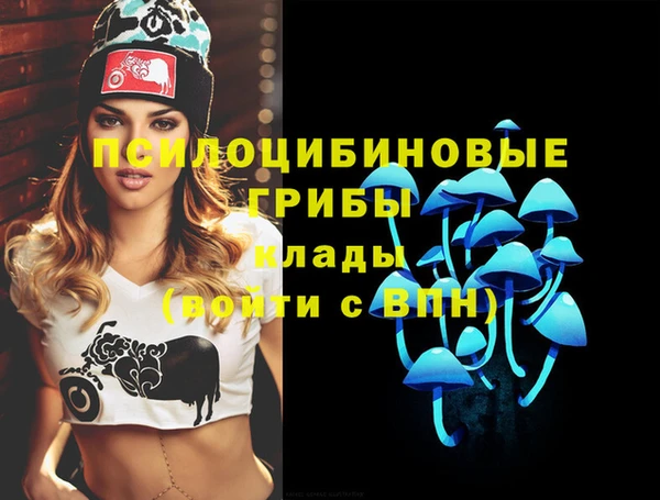 apvp Балахна