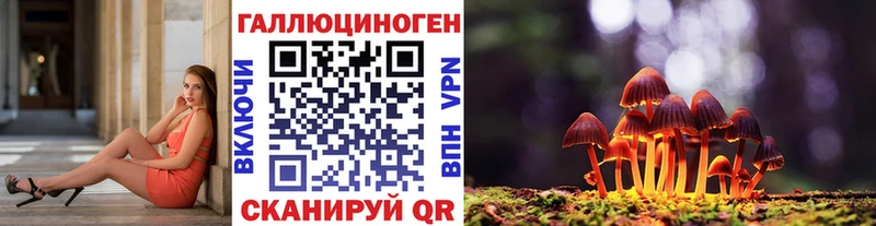 Псилоцибиновые грибы GOLDEN TEACHER  Холмск 